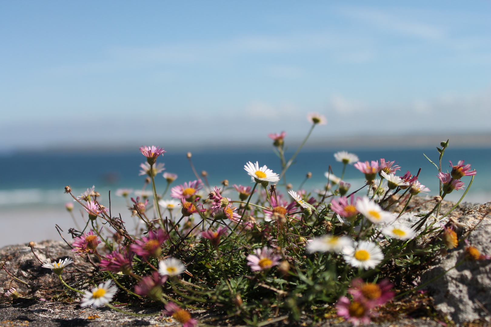 St.Ives