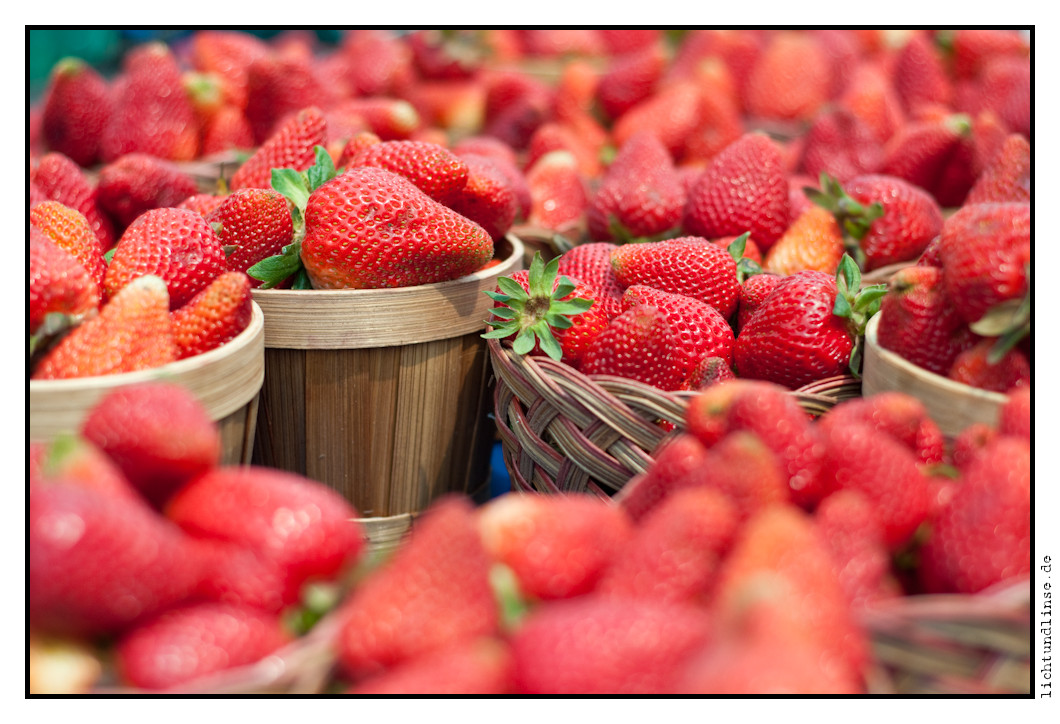 St.Jacobs Farmers Market 11