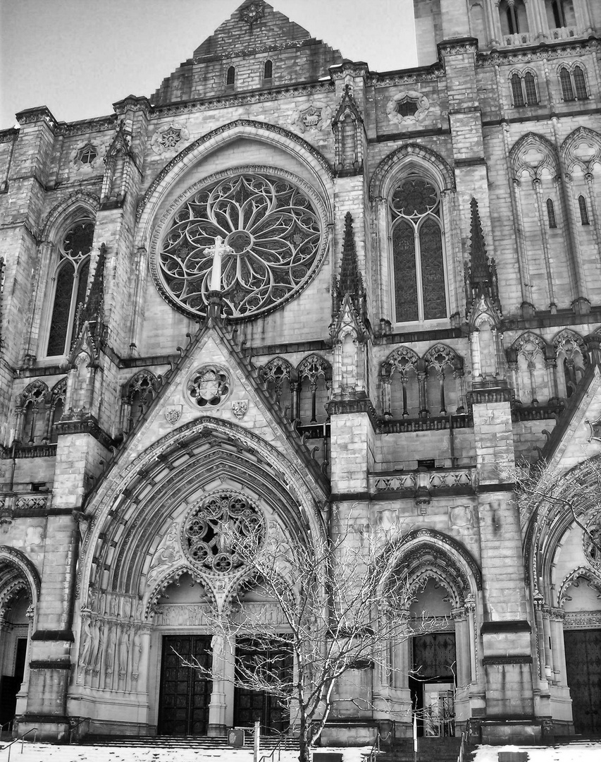 St.Johns Cathedral/New York