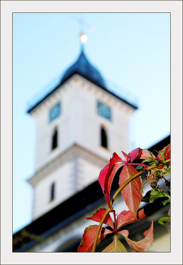 St.Martin Kirche Aulendorf