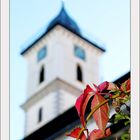 St.Martin Kirche Aulendorf