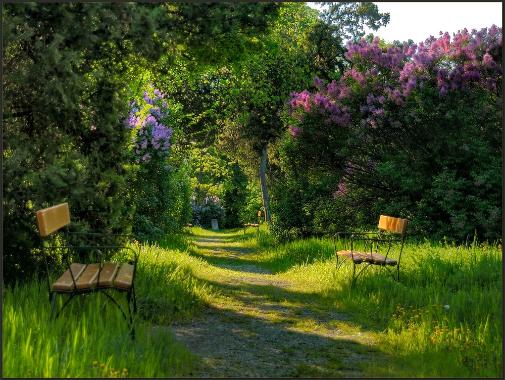 St.Marxerfriedhof