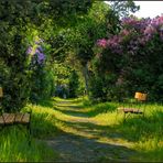 St.Marxerfriedhof