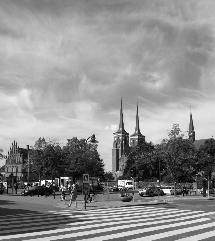 Stændertorv und Dom zu Roskilde