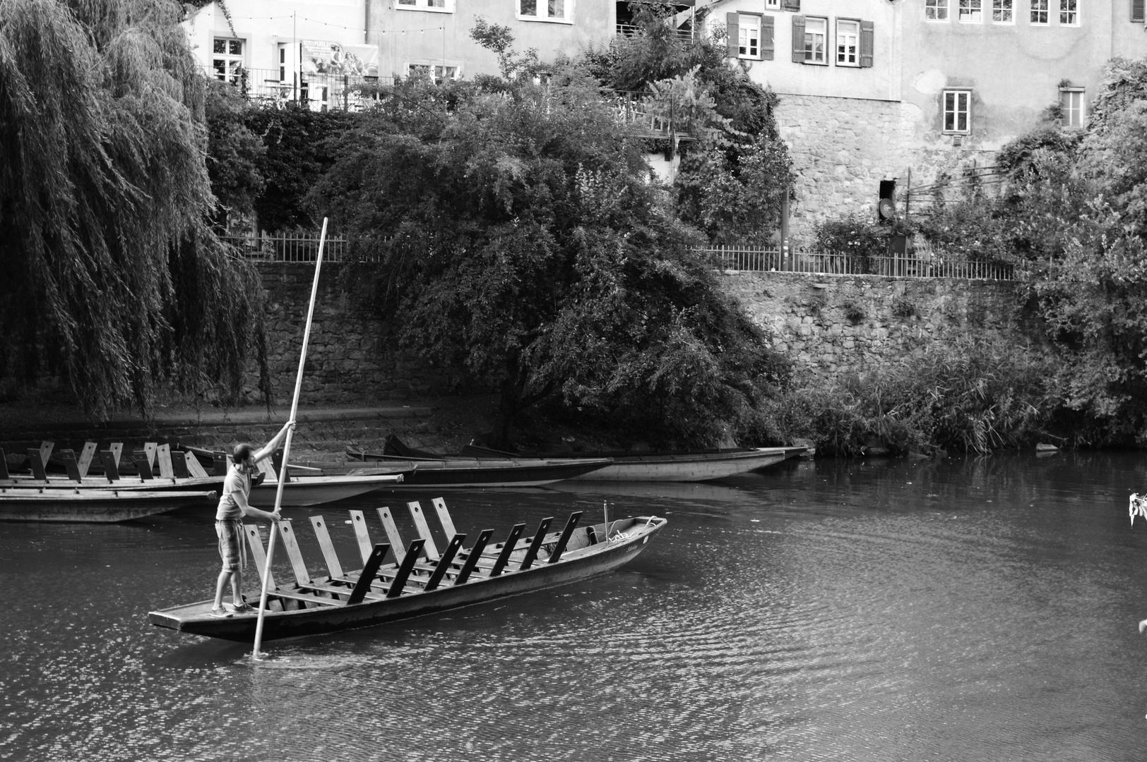 Stocherer auf dem Neckar