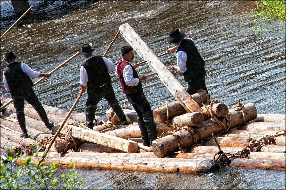 Stocherer und Bremser