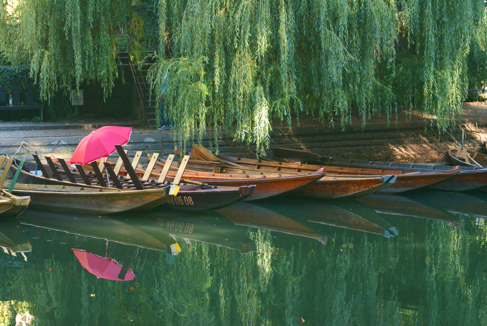 Stocherkähne auf dem Neckar