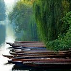 Stocherkähne auf dem Neckar