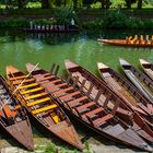 Stocherkähne auf dem Tübinger Neckar