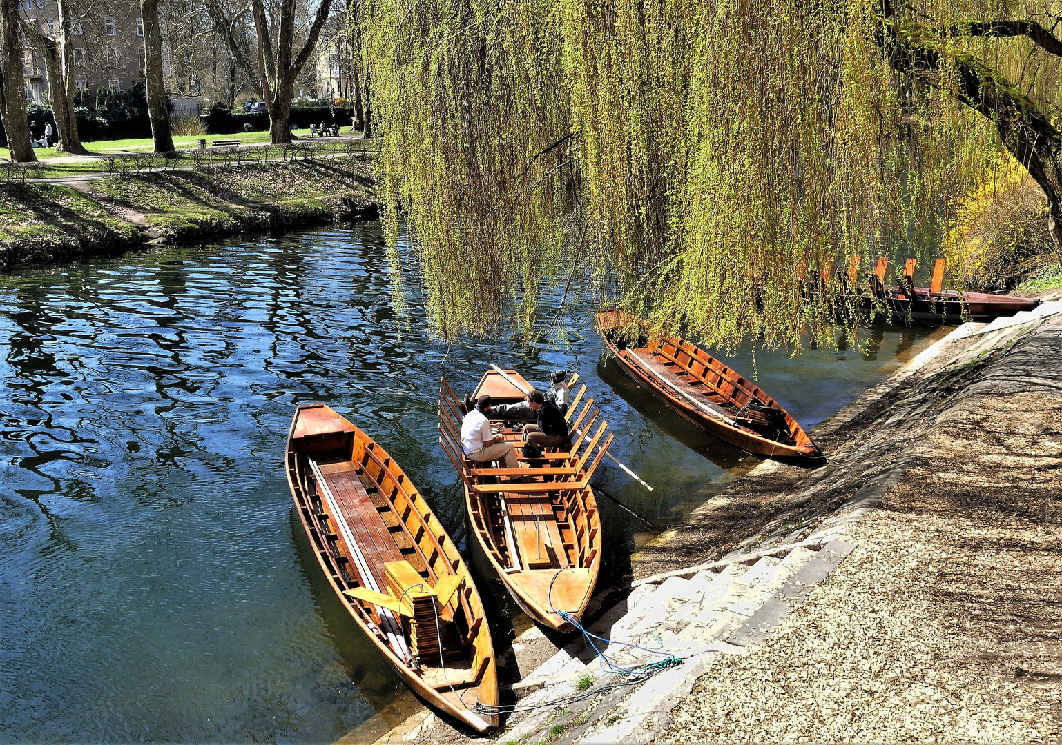  Stocherkähne in Tübingen