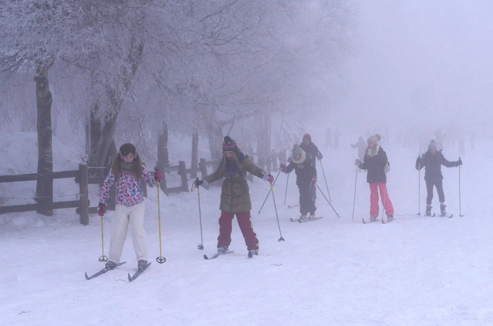 Stochern im Nebel