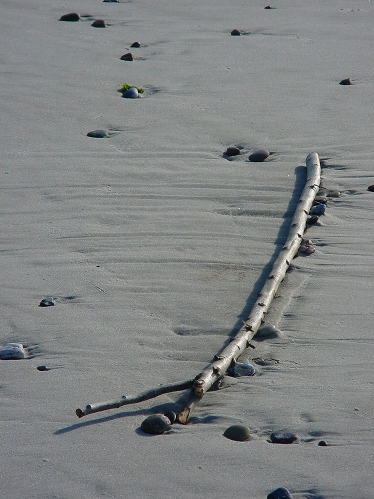 Stock am Strand