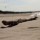 Stock am Strand