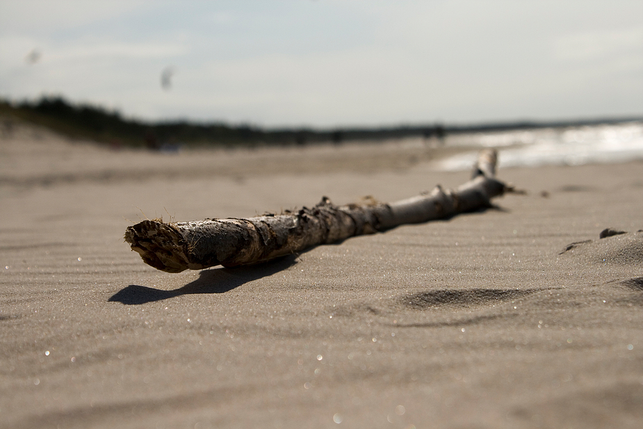 Stock am Strand