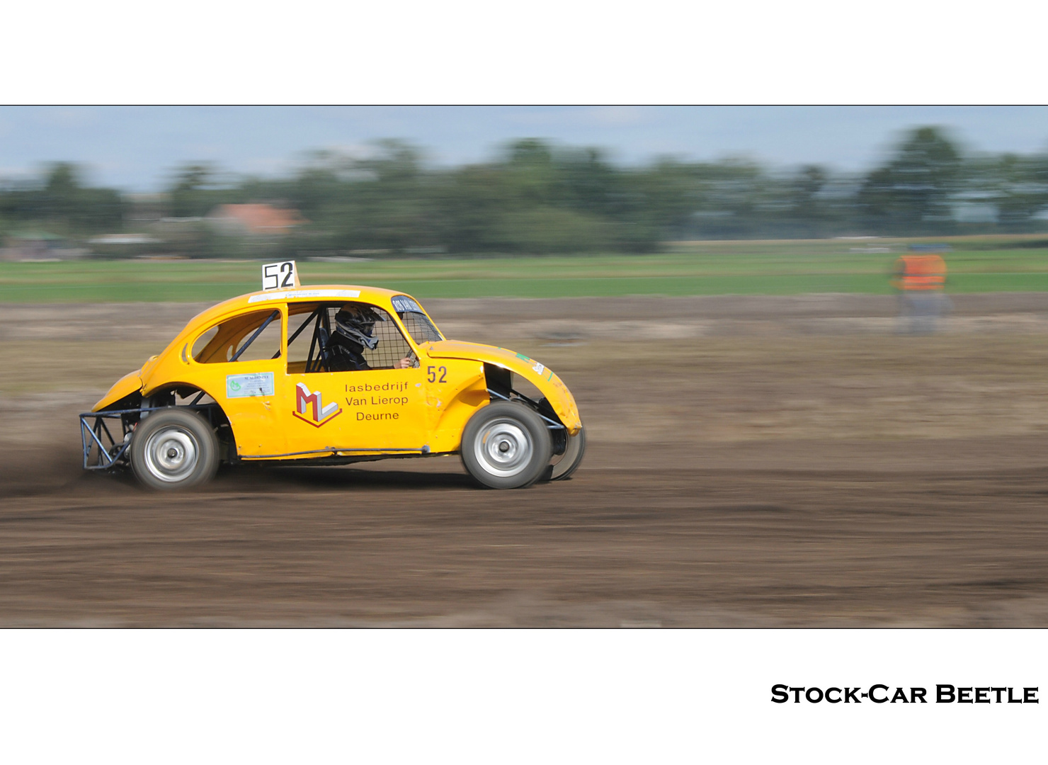 Stock-Car Beetle