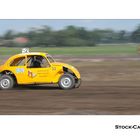 Stock-Car Beetle