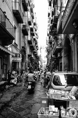 Stock House Naples 
