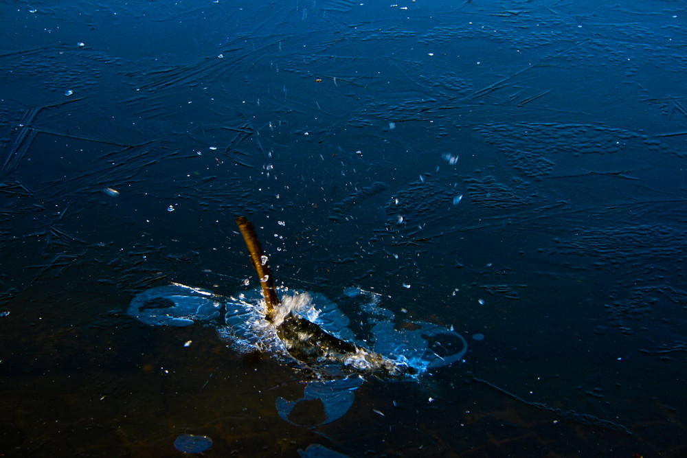 Stock im Wasser