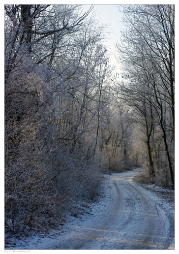 ... Stockenten-Weg .....