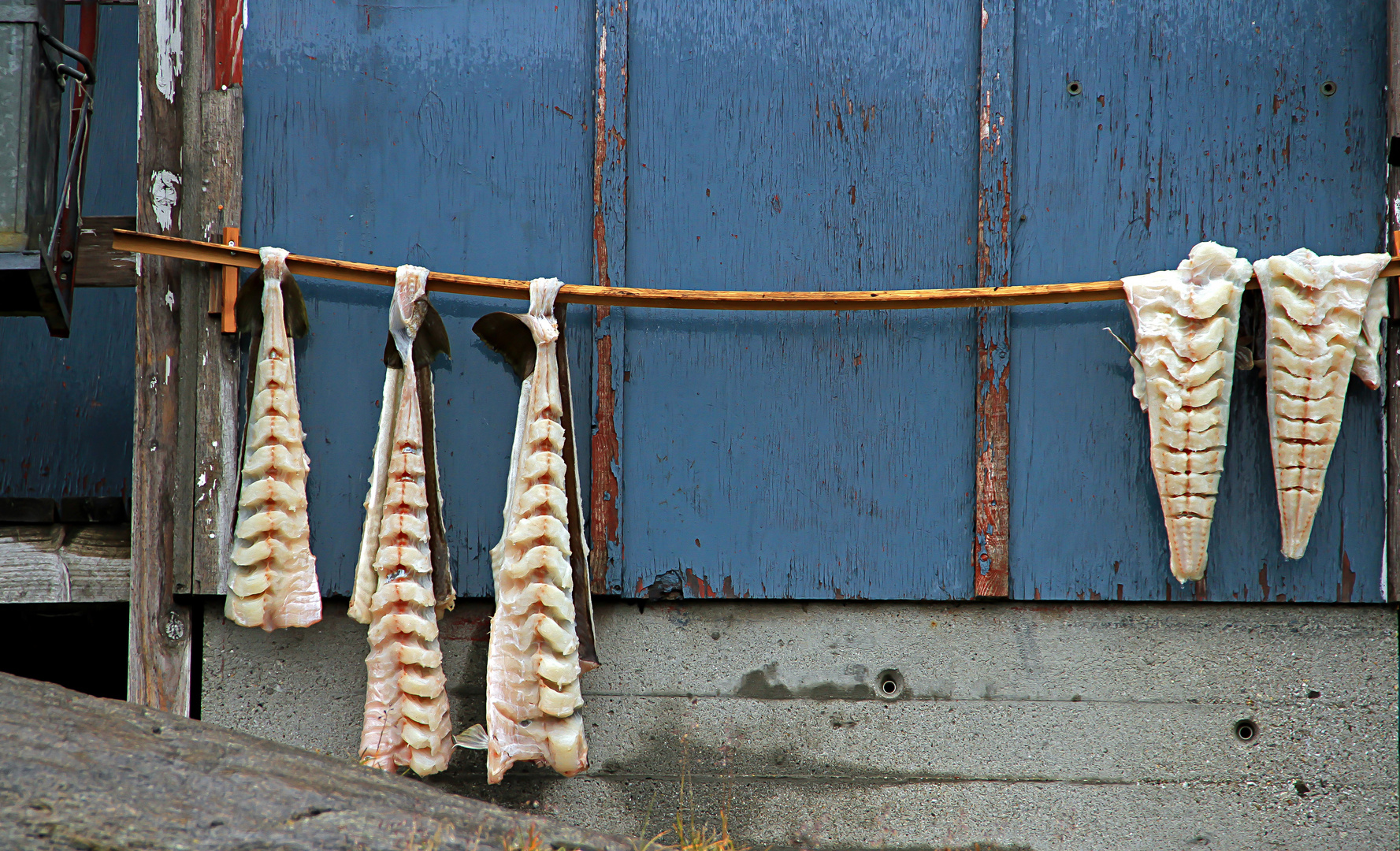 Stockfisch Foto &amp; Bild | arctic, poles, landschaft Bilder auf fotocommunity