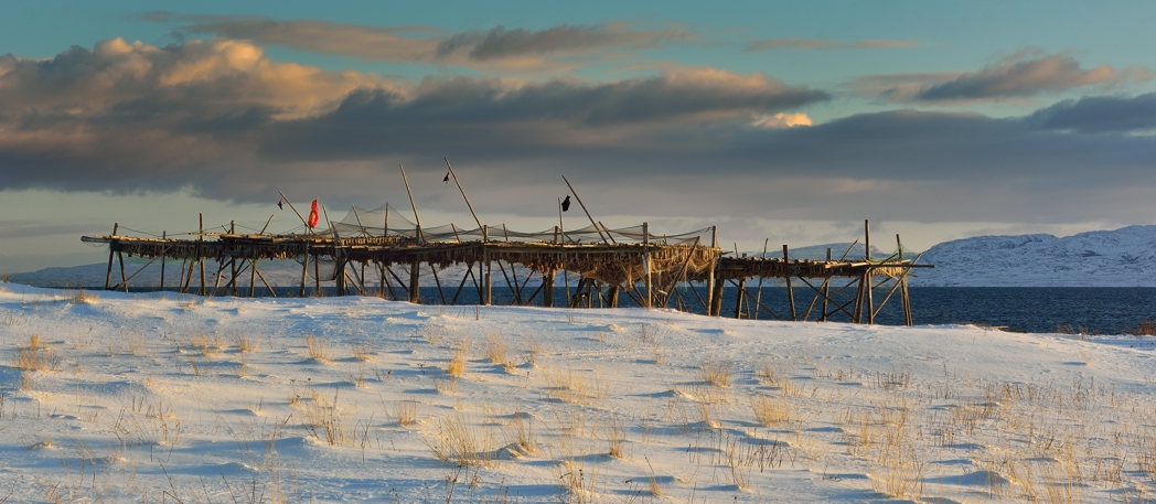 Stockfisch-Anlage, bei Vardø, Nord-Norwegen, Februar 2013