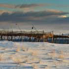 Stockfisch-Anlage, bei Vardø, Nord-Norwegen, Februar 2013