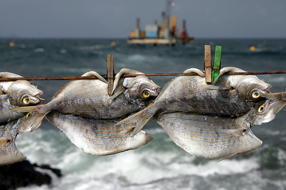 Stockfisch Foto &amp; Bild | europe, canary islands die kanaren, spain ...