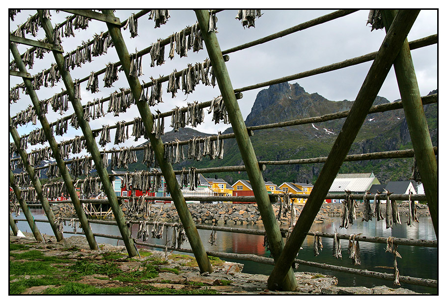 Stockfisch in Svolvaer