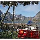 Stockfischernte in Hamnoy