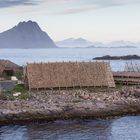 Stockfischgestelle in Svolvær, Lofoten