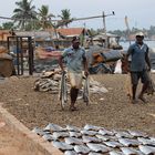 Stockfischherstellung in Sri Lanka