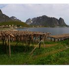 Stockfischpanorama sehen und staunen