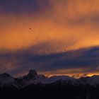 Stockhornkette im Abendlicht (Berner Oberland)