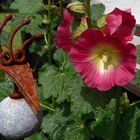 Stockrose mit Steinvogel