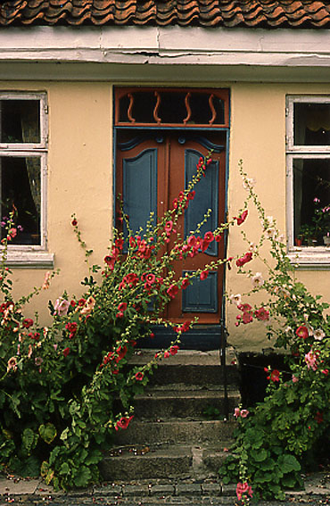 Stockrosen-Tür von Hermann Kunz