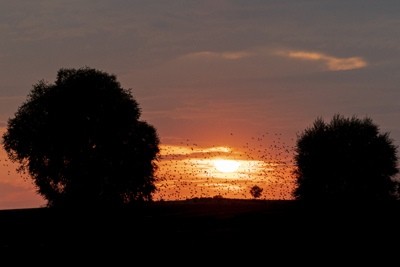 Stockweiher bei Sonnenuntergang 19092020-0453-2