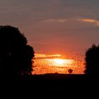 Stockweiher bei Sonnenuntergang 19092020-0453-2