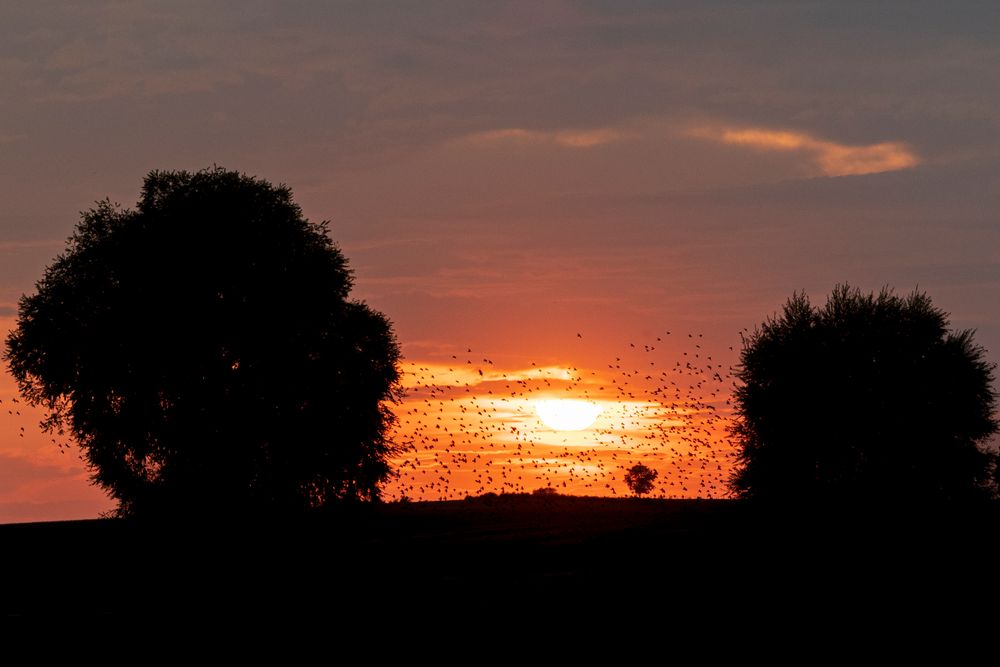 Stockweiher bei Sonnenuntergang 19092020-0453-2