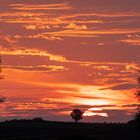 Stockweiher bei Sonnenuntergang 19092020-0460