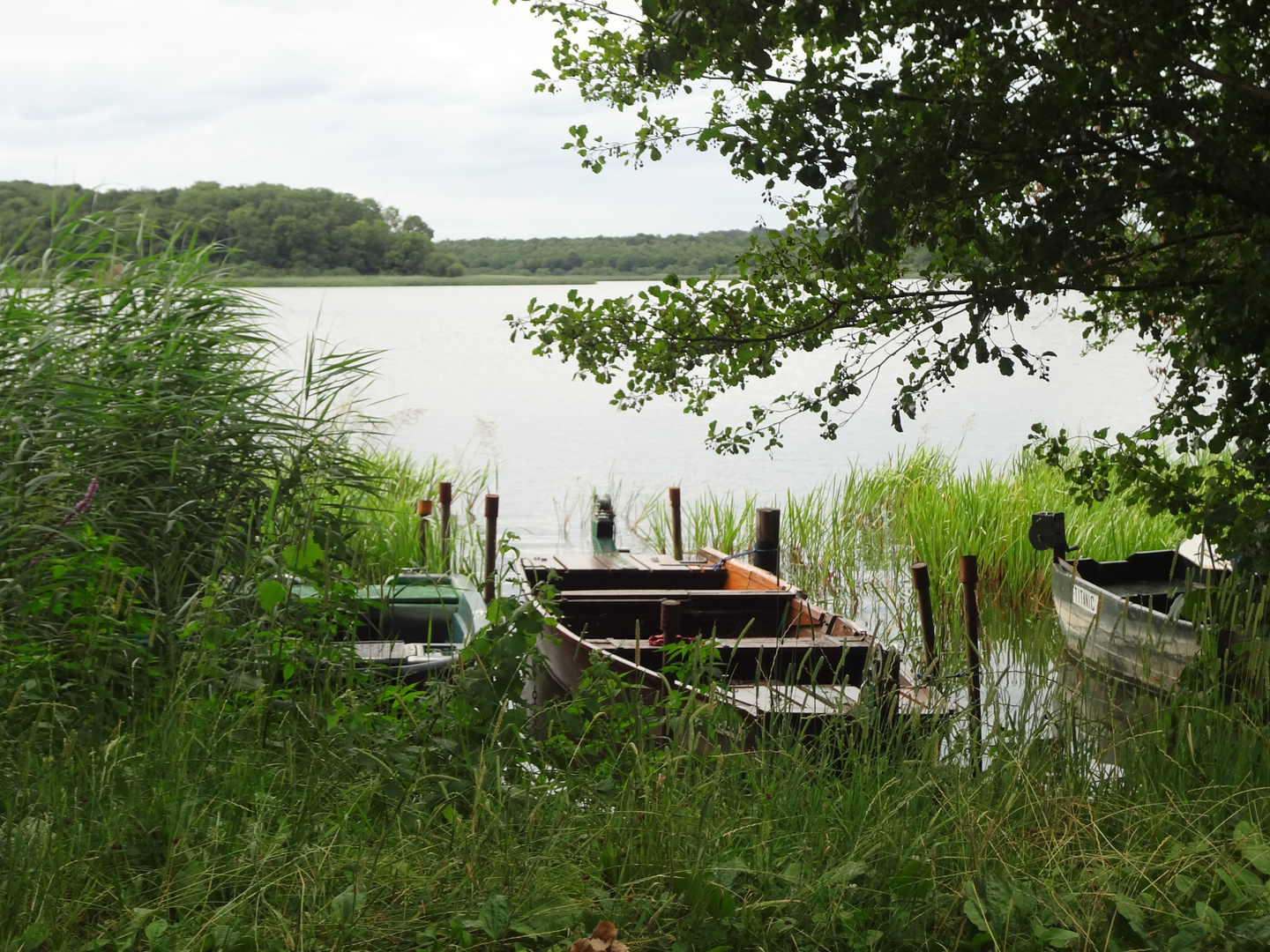 Stockweiher