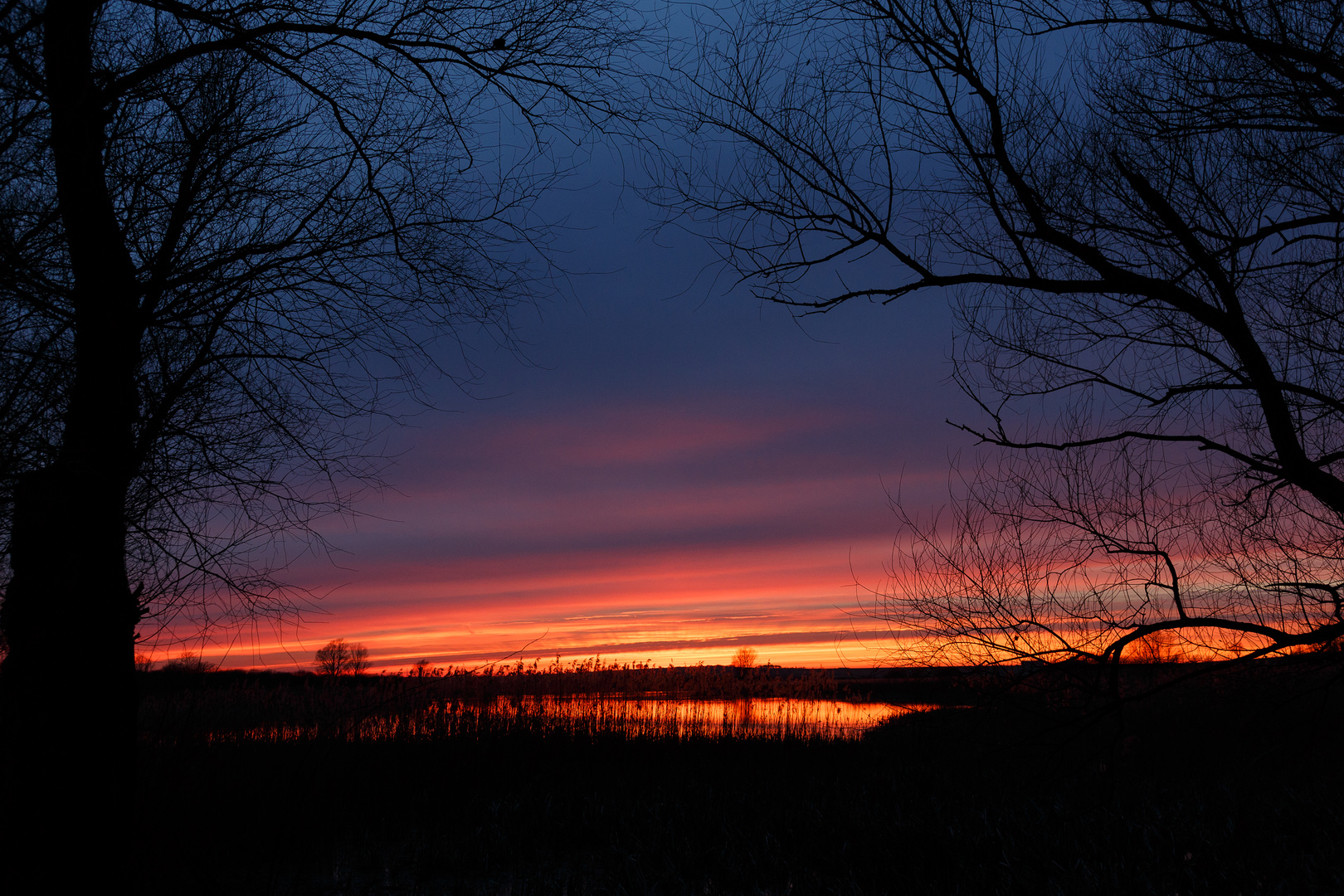 Stockweiher Sonnenuntergang II