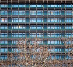 stockwerke, fenster und zimmer