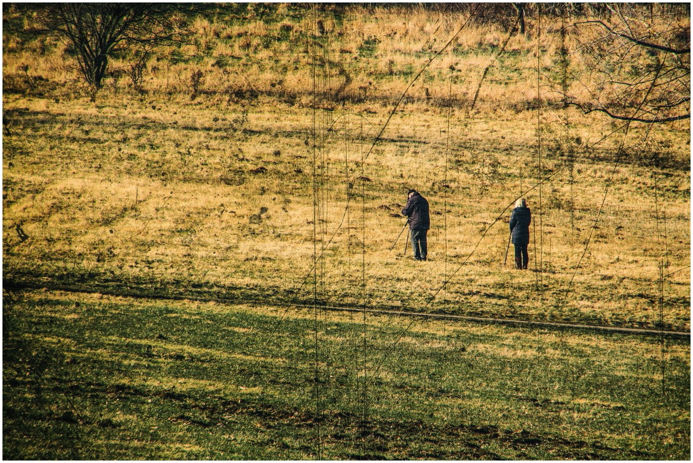 Stockwild auf freier Wildbahn