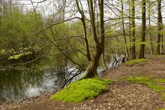 Stodthagen 26