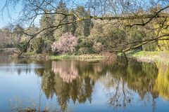 Stöckener Friedhof Hannover I