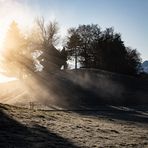 Stöckli im Gegenlicht und Nebel