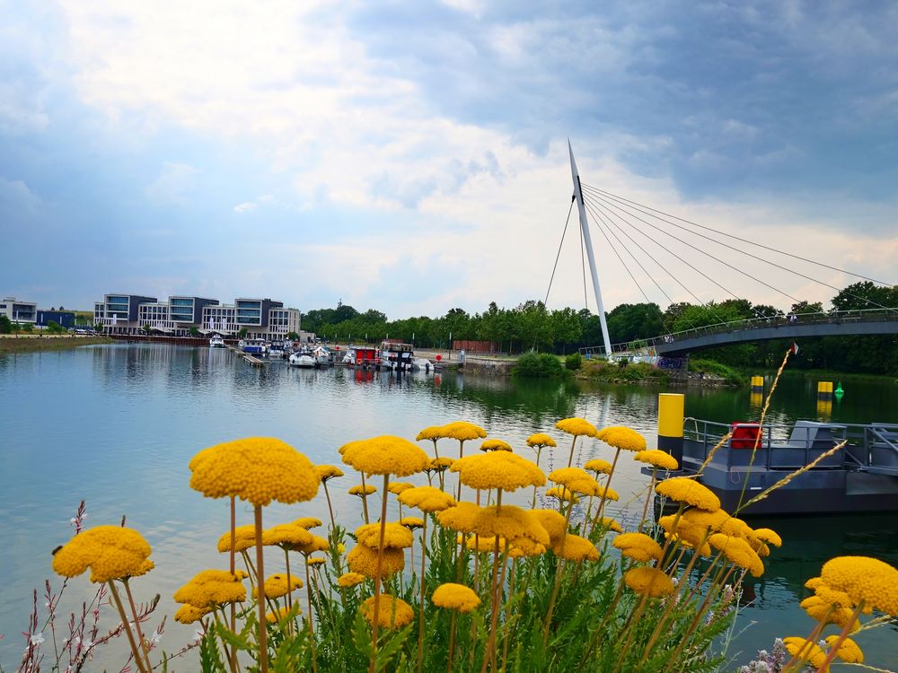 Stölting Harbor der neue Hafen in Gelsenkirchen