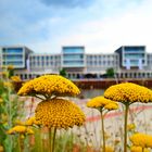 Stölting Harbor der neue Hafen in Gelsenkirchen