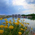 Stölting Harbor der neue Hafen in Gelsenkirchen