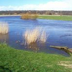 STÖR Flut Hochwasser